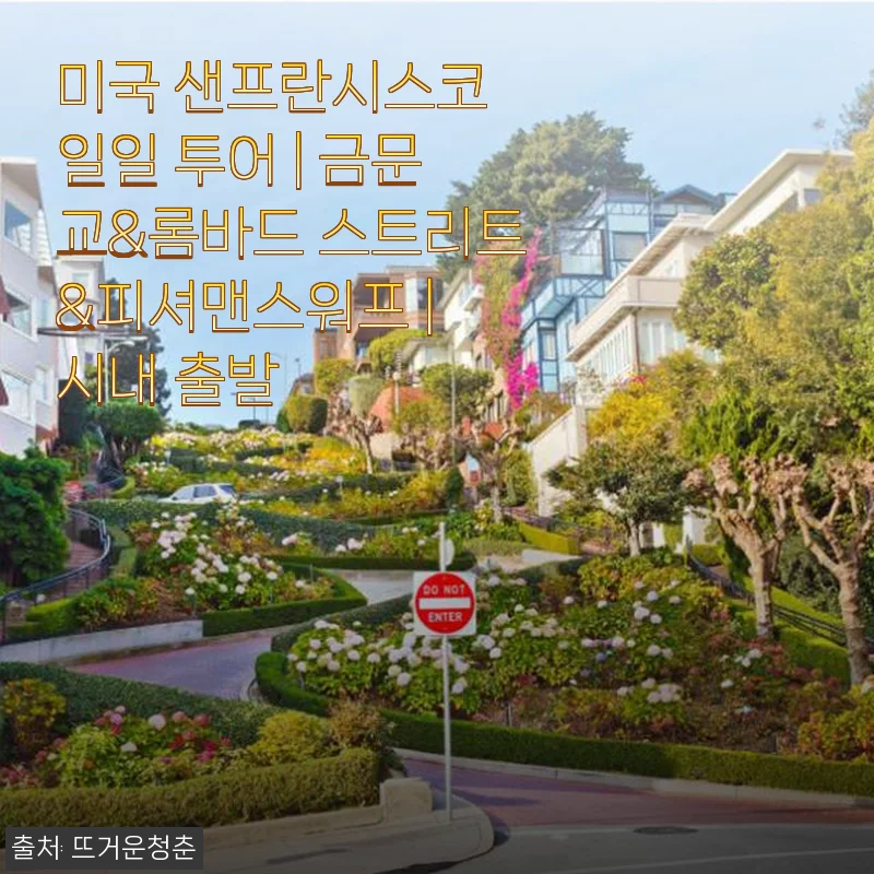 미국 샌프란시스코 일일 투어 체험 후기: 금문교부터 피셔맨스워프까지