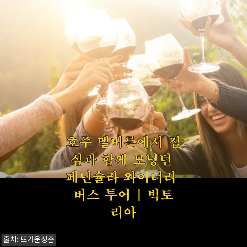 호주 멜버른 모닝턴 페닌슐라 와이너리 버스 투어 사용후기