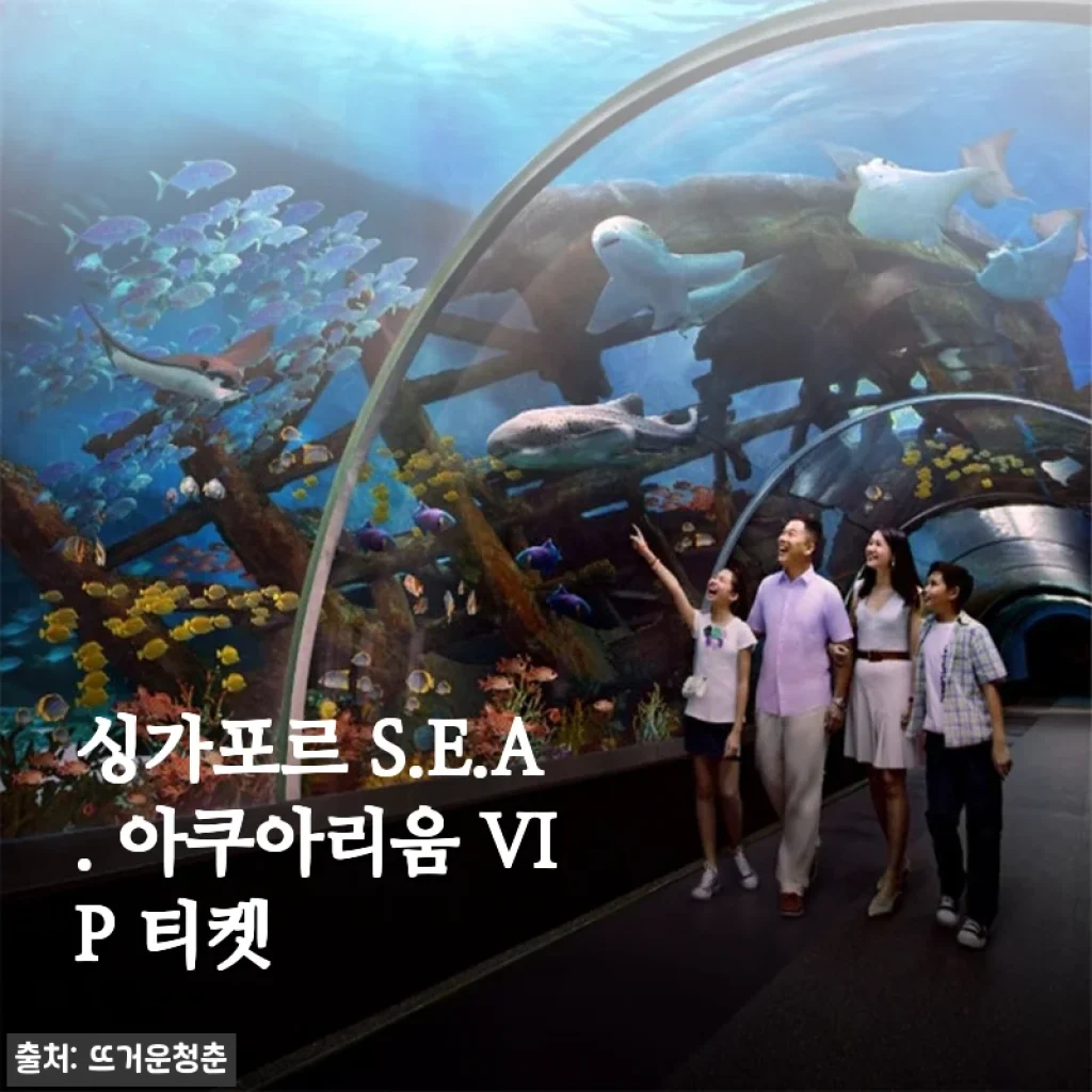 싱가포르 S.E.A. 아쿠아리움 VIP 티켓 사용후기 및 구매 가이드