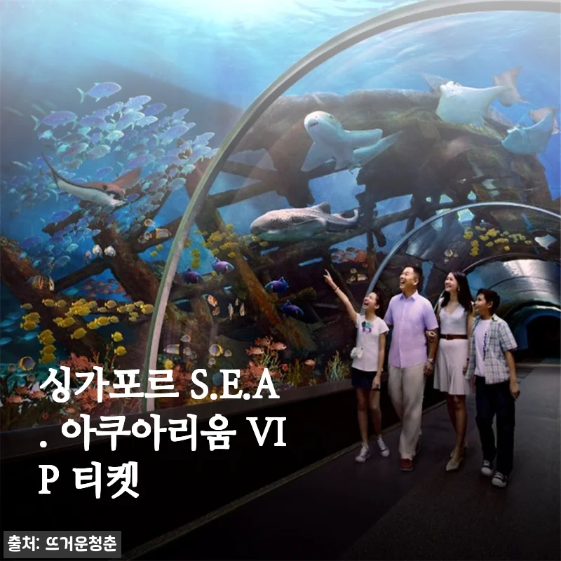 싱가포르 S.E.A. 아쿠아리움 VIP 티켓 사용후기 및 구매 가이드