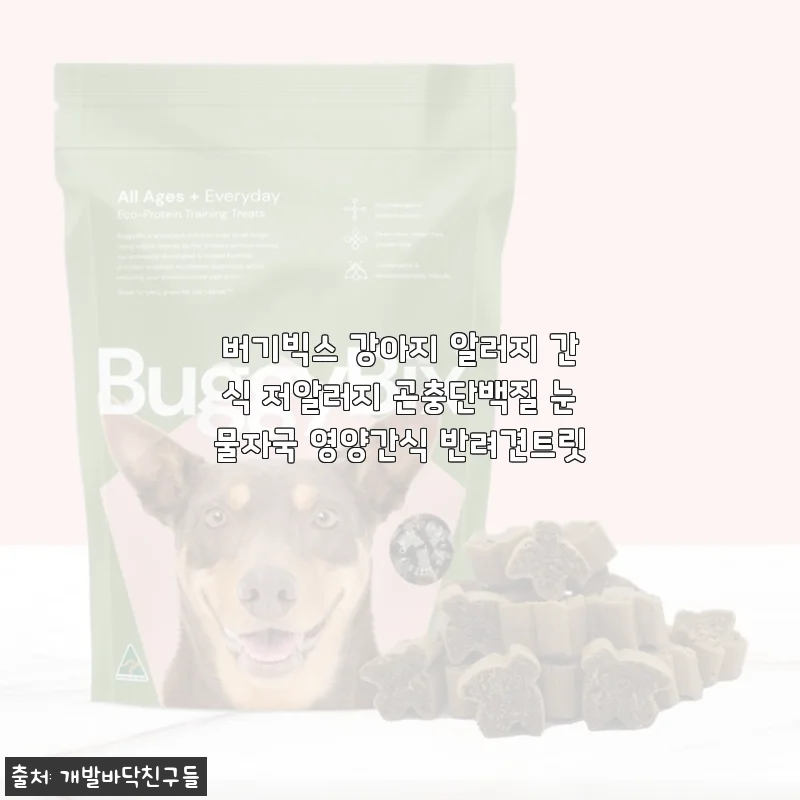 버기빅스 강아지 알러지 간식 사용후기: 저알러지 곤충단백질로 반려견 건강 챙기기
