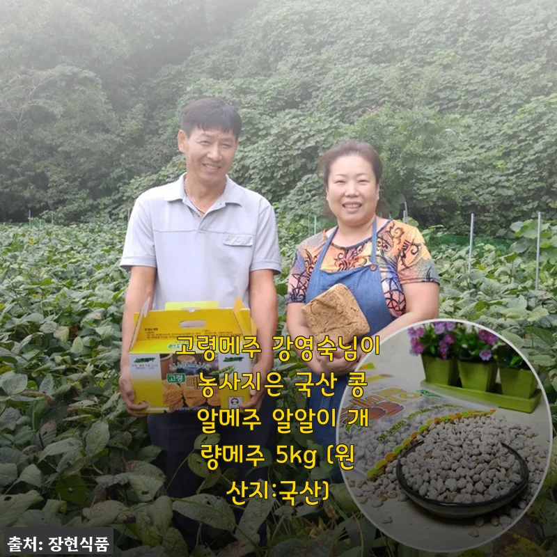 고령메주 강영숙님의 국산 콩 알메주 5kg 사용후기와 장 담그기 경험