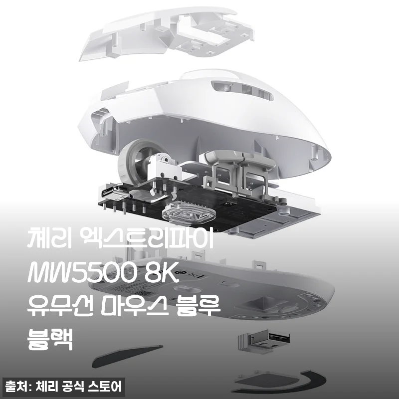체리 엑스트리파이 MW5500 8K 유무선 마우스 블루블랙 사용후기