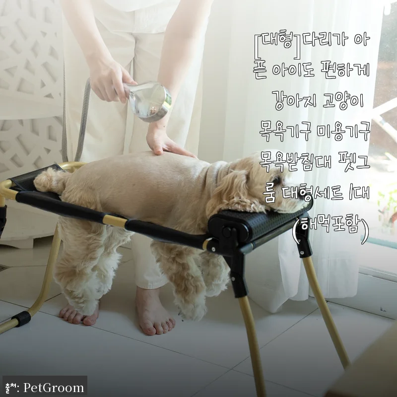 [대형]다리가 아픈 아이도 편하게 사용하는 펫그룸 목욕기구 대형세트 사용후기
