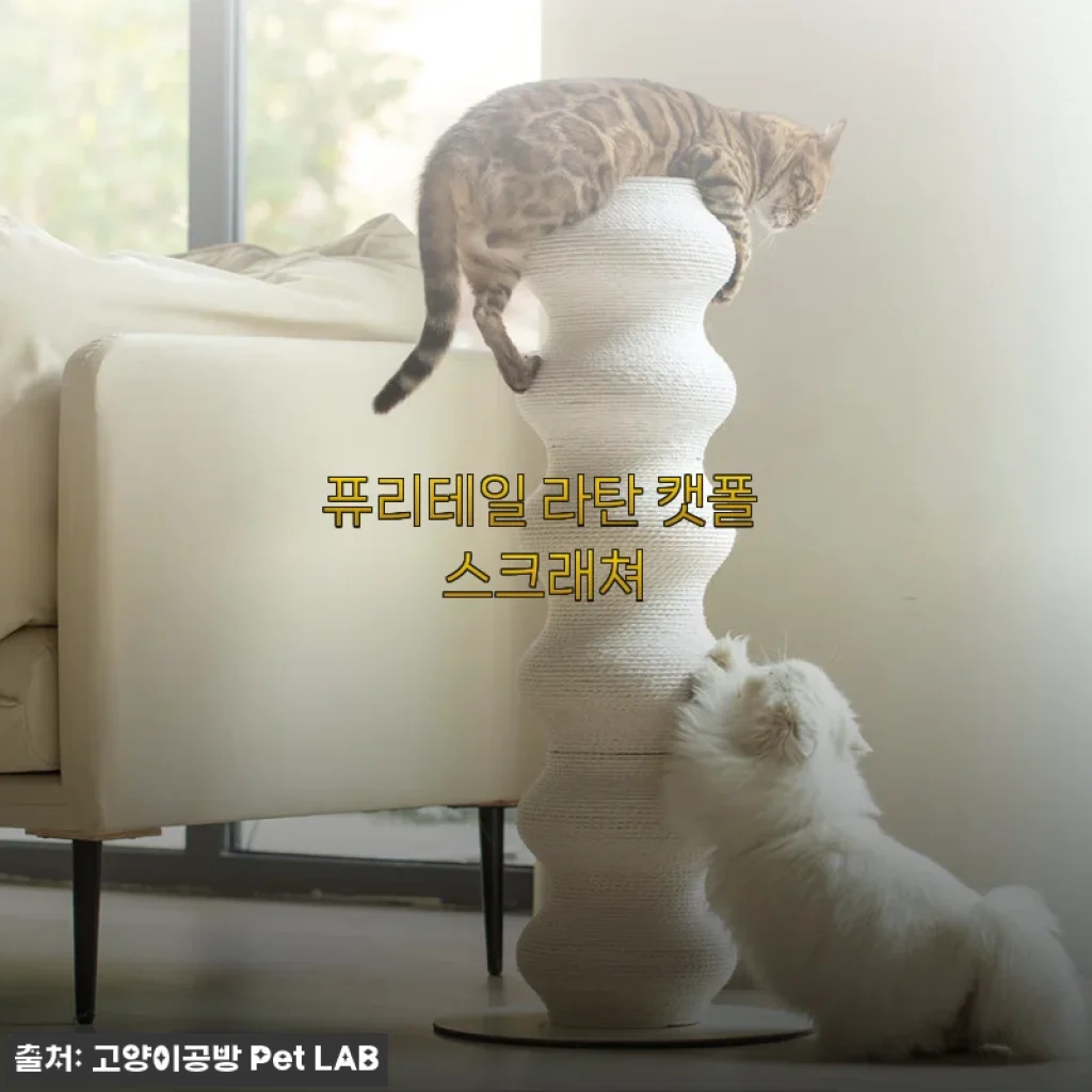 퓨리테일 라탄 캣폴 스크래쳐 사용후기 - 고양이와 집 모두 만족한 디자인과 내구성