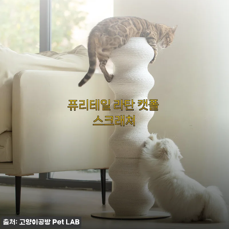 퓨리테일 라탄 캣폴 스크래쳐 사용후기 - 고양이와 집 모두 만족한 디자인과 내구성