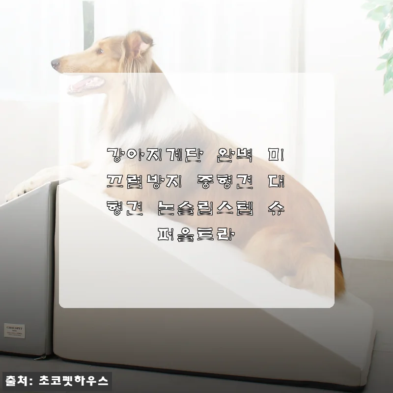 강아지계단 완벽 미끄럼방지 중형견 대형견 논슬립스텝 슈퍼울트라 사용후기