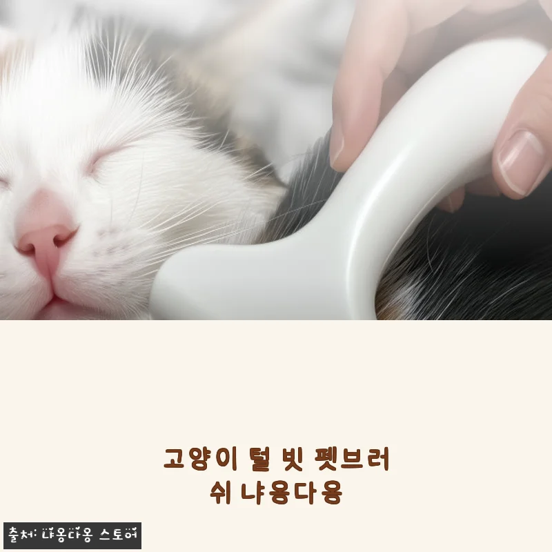 냐옹다옹 프리미엄 고양이 빗 사용후기, 직접 써보니 정말 다르네요