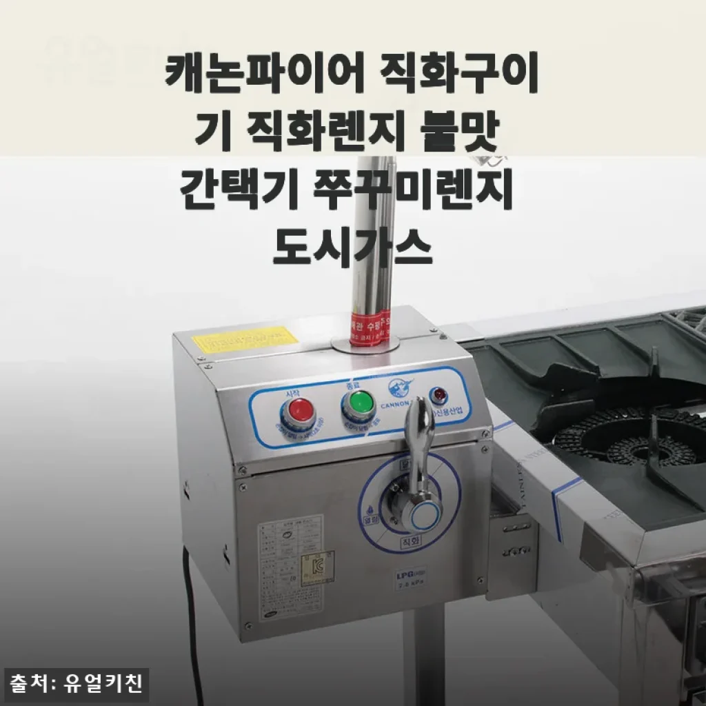 캐논파이어 직화구이기 사용후기 – 불맛과 화력에 반하다