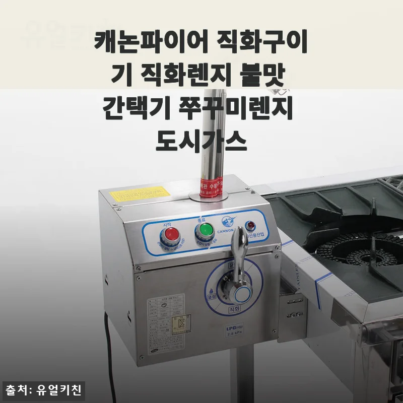 캐논파이어 직화구이기 사용후기 – 불맛과 화력에 반하다