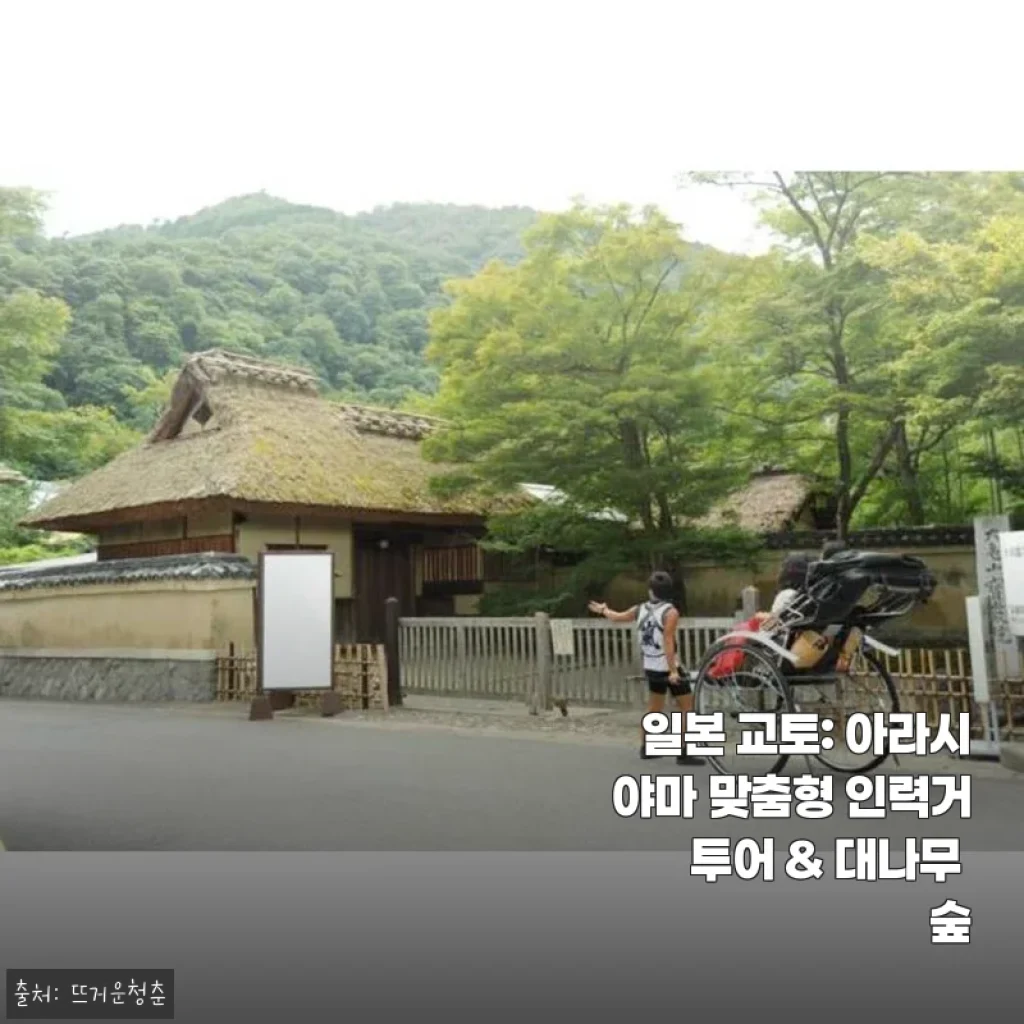 일본 교토 아라시야마 인력거 투어 & 대나무 숲 체험 후기