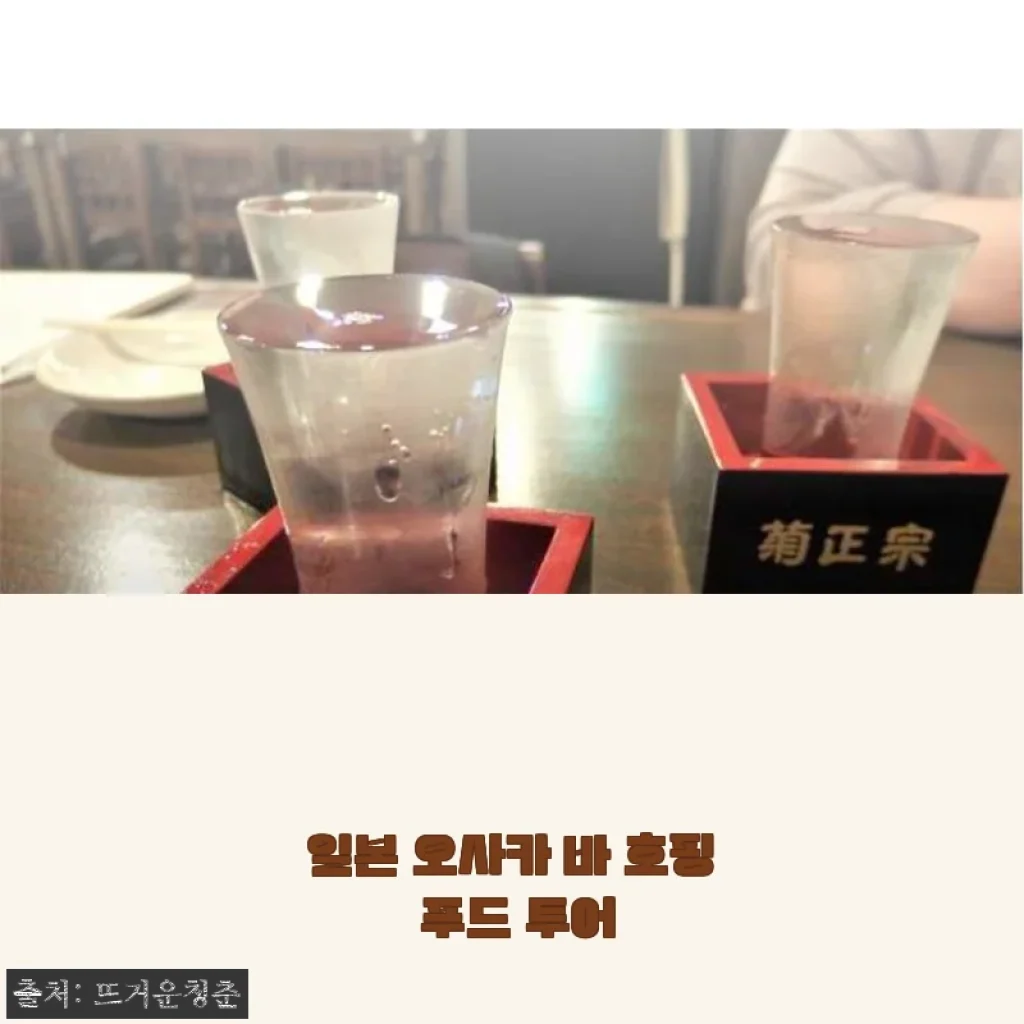 일본 오사카 바 호핑 푸드 투어 사용후기: 현지 감성 제대로 느낀 특별한 경험