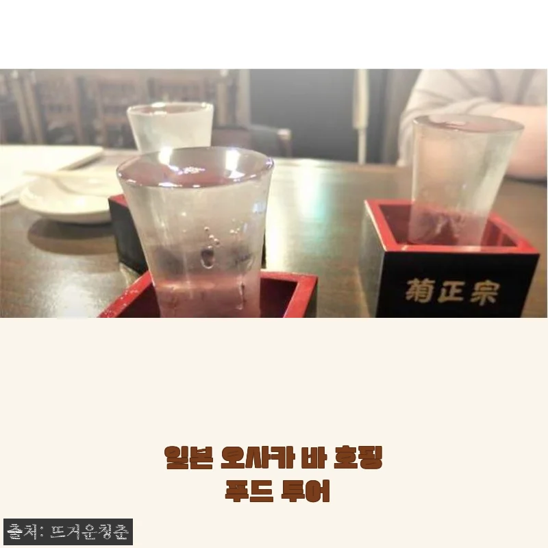 일본 오사카 바 호핑 푸드 투어 사용후기: 현지 감성 제대로 느낀 특별한 경험