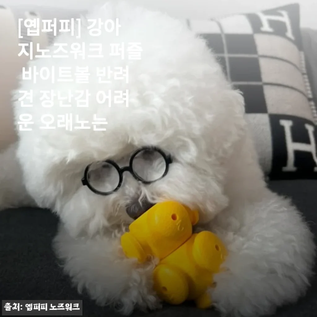 [옙퍼피] 강아지노즈워크 퍼즐 바이트볼 사용후기와 제품소개