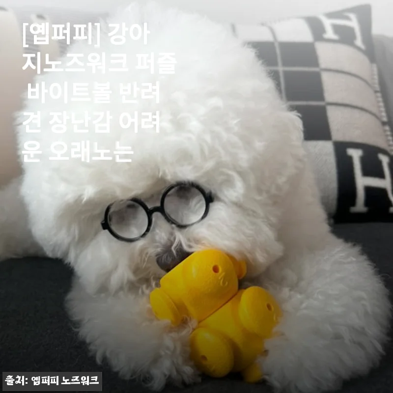 [옙퍼피] 강아지노즈워크 퍼즐 바이트볼 사용후기와 제품소개