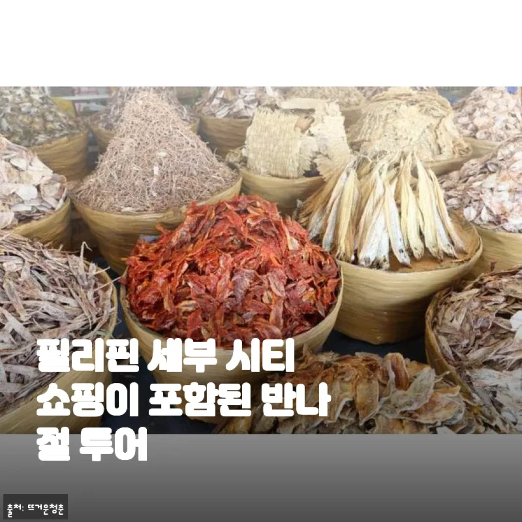 필리핀 세부 시티 쇼핑 포함 반나절 투어, 직접 체험한 생생 후기