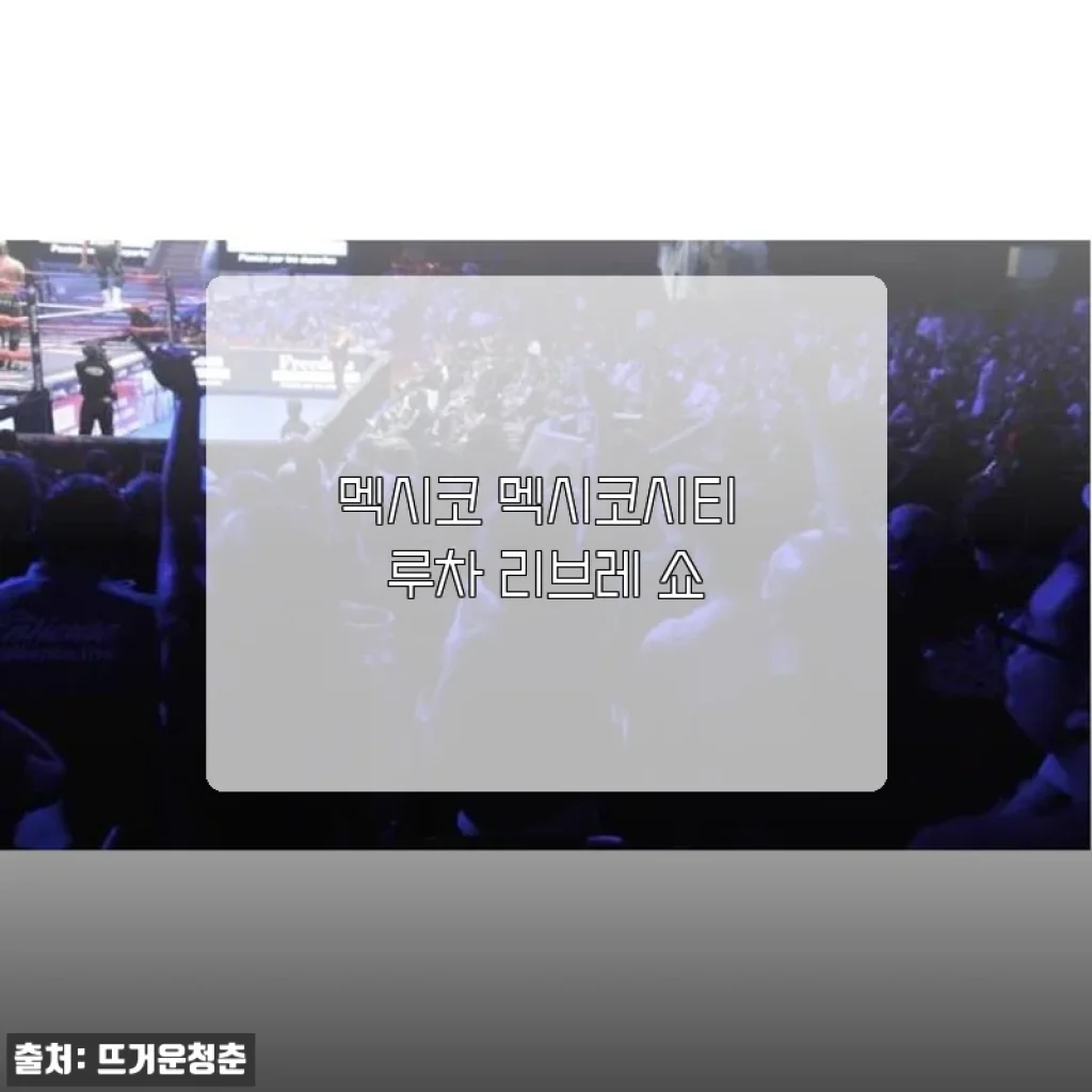 멕시코 멕시코시티 루차 리브레 쇼 구매 후기 및 상세 소개
