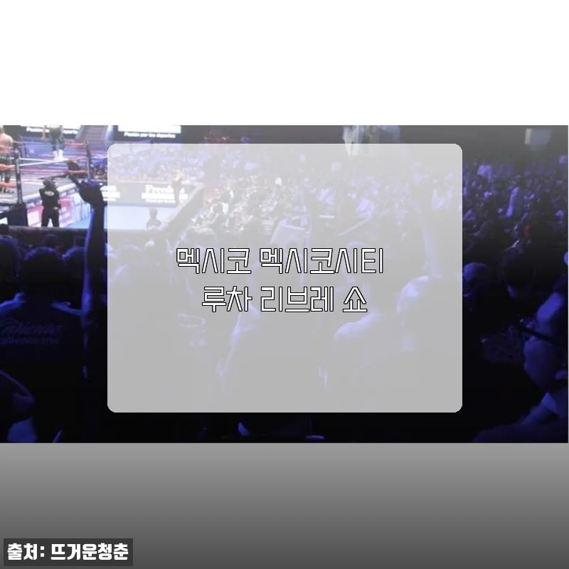 멕시코 멕시코시티 루차 리브레 쇼 구매 후기 및 상세 소개