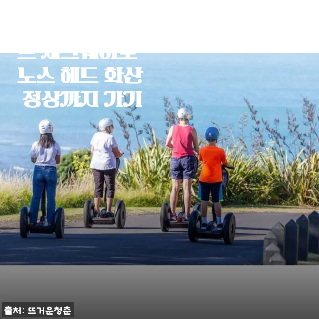 뉴질랜드 오클랜드 세그웨이로 노스 헤드 화산 정상까지 가기 체험 후기