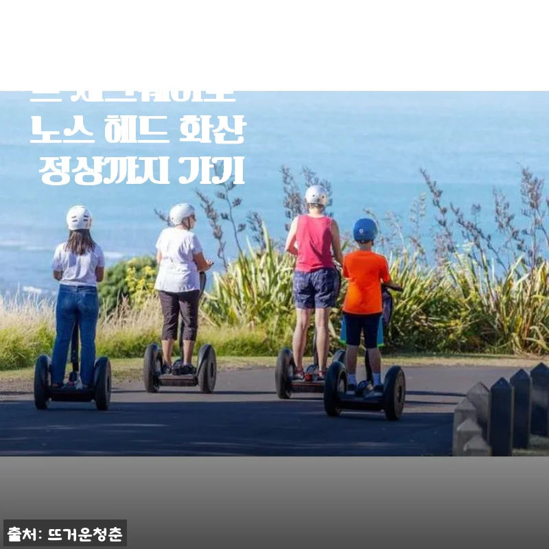뉴질랜드 오클랜드 세그웨이로 노스 헤드 화산 정상까지 가기 체험 후기