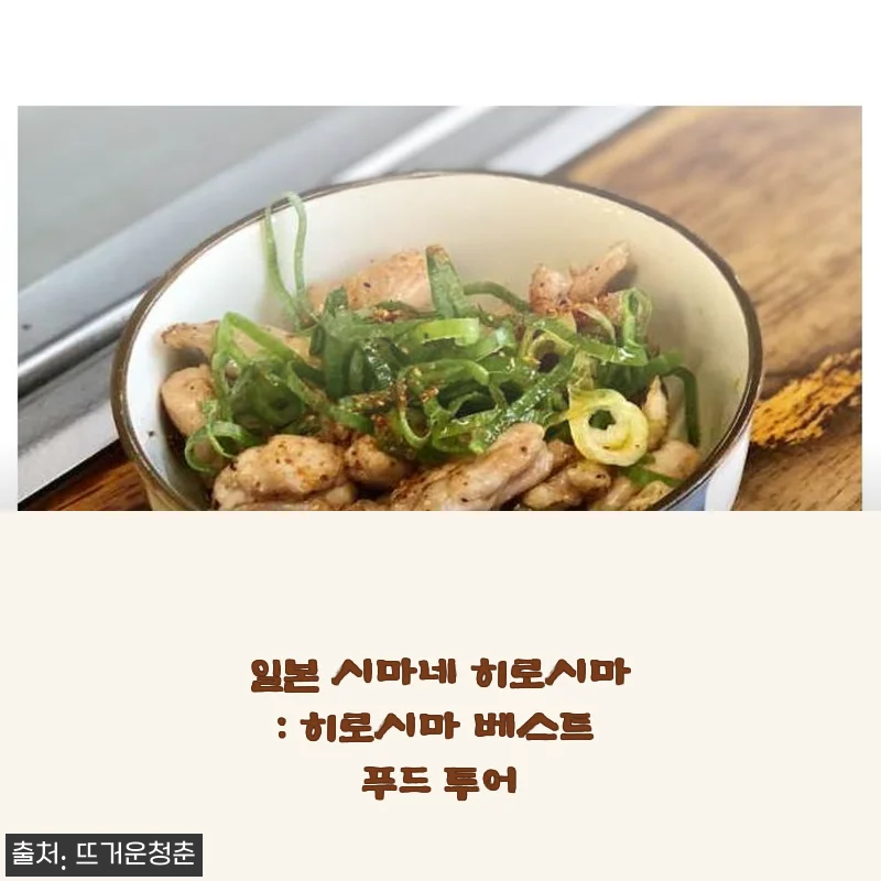 일본 시마네 히로시마 베스트 푸드 투어, 직접 체험한 생생 후기