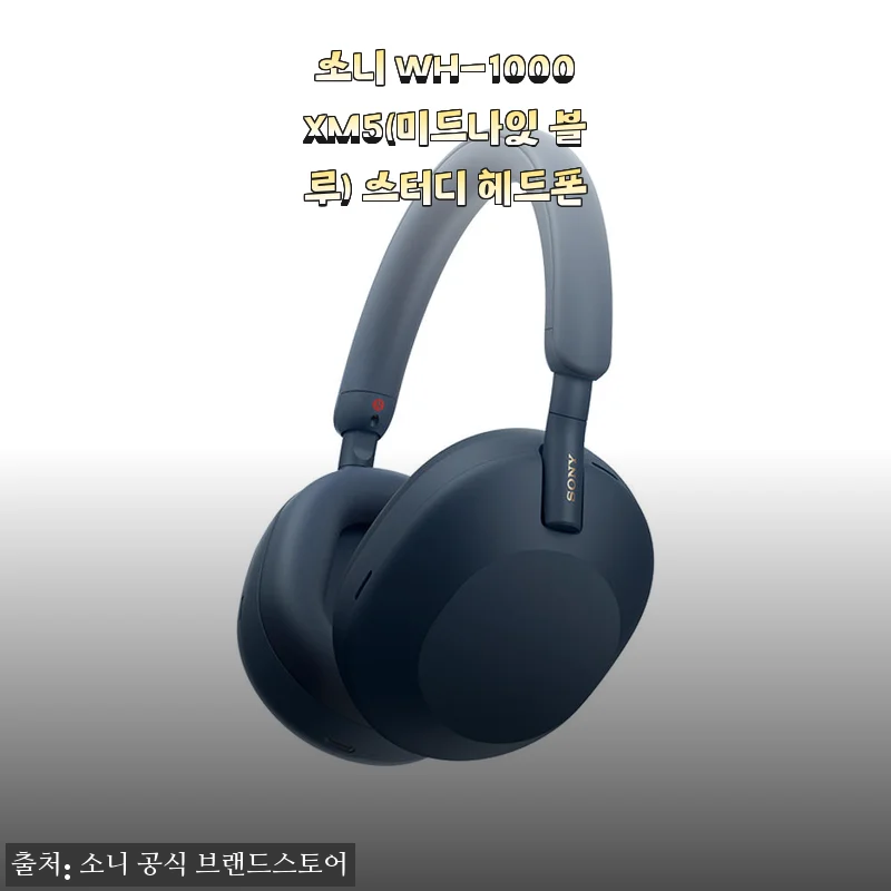 소니 WH-1000XM5 미드나잇 블루 사용후기, 스터디와 일상 모두 만족스러운 헤드폰