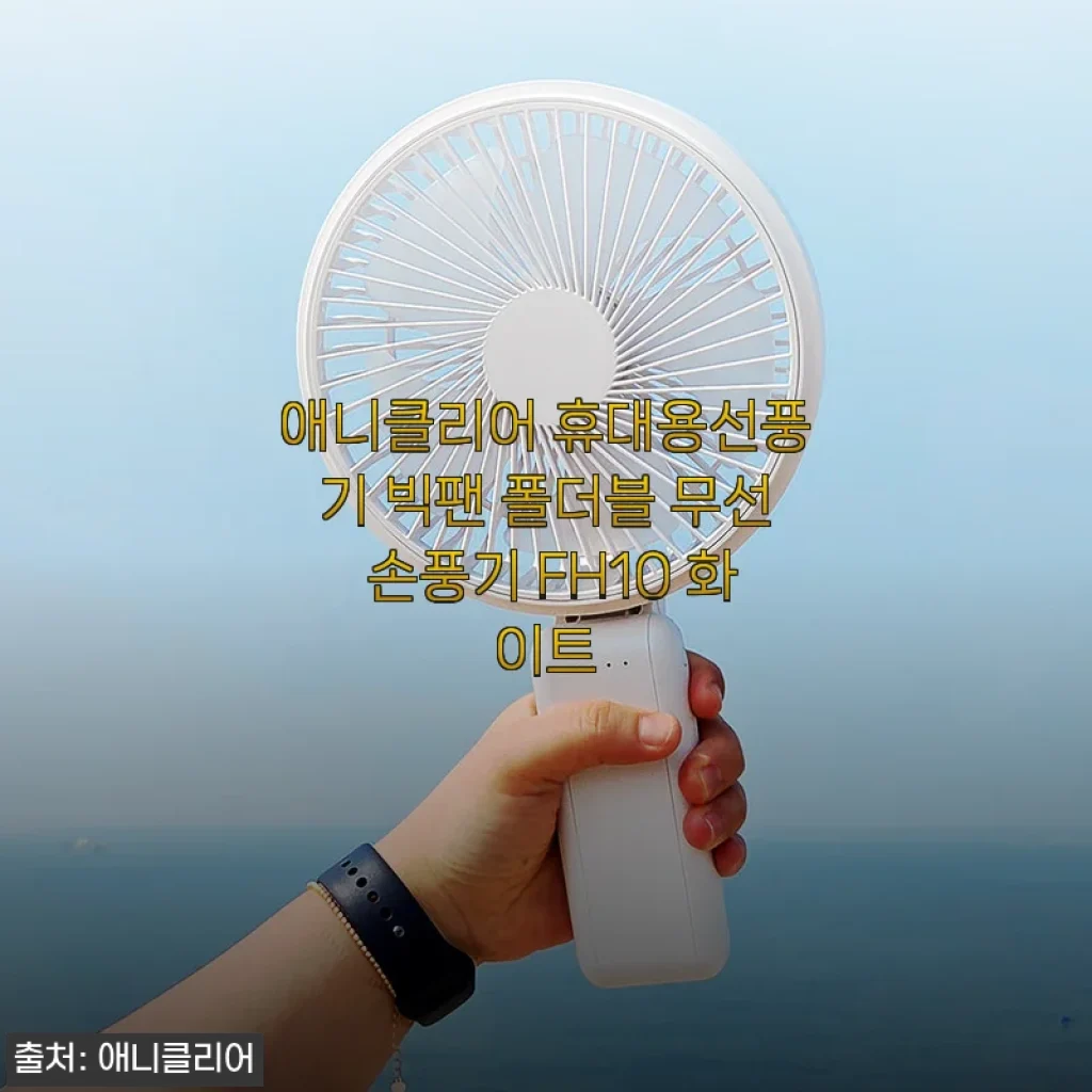 애니클리어 휴대용선풍기 빅팬 폴더블 무선 손풍기 FH10 화이트 사용후기