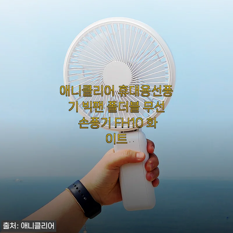 애니클리어 휴대용선풍기 빅팬 폴더블 무선 손풍기 FH10 화이트 사용후기