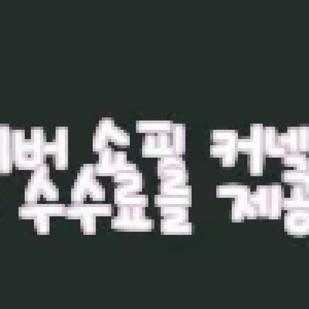 일본 뉴 내셔널 스타디움 프라이빗 이동 서비스 사용 후기