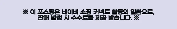가격 오르기 전에 SK하이닉스 P41 SSD 500GB 직구 후기, 속도 차원이 다르더라