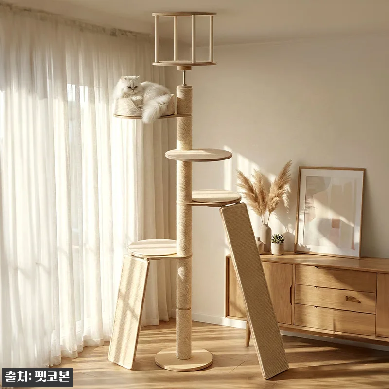 원목 감성에 튼튼함까지, 펫코본 스카 관련 이미지 4