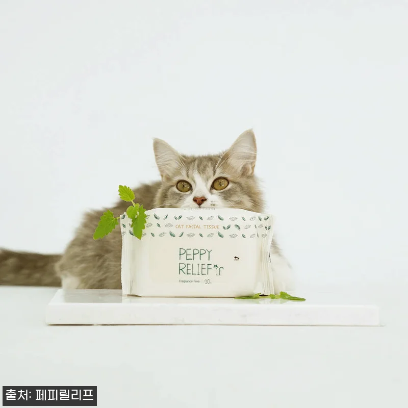 페피릴리프 고양이 물티슈 5팩 대나무 관련 이미지 4