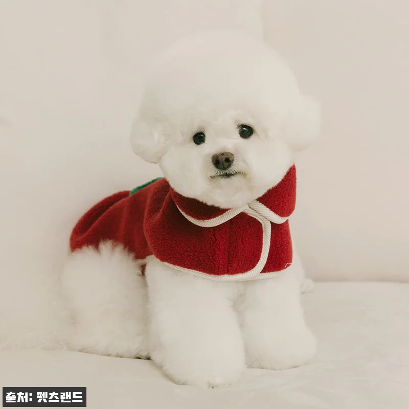 강아지겨울옷 후리스 판초 하트몽, 산 관련 이미지 5