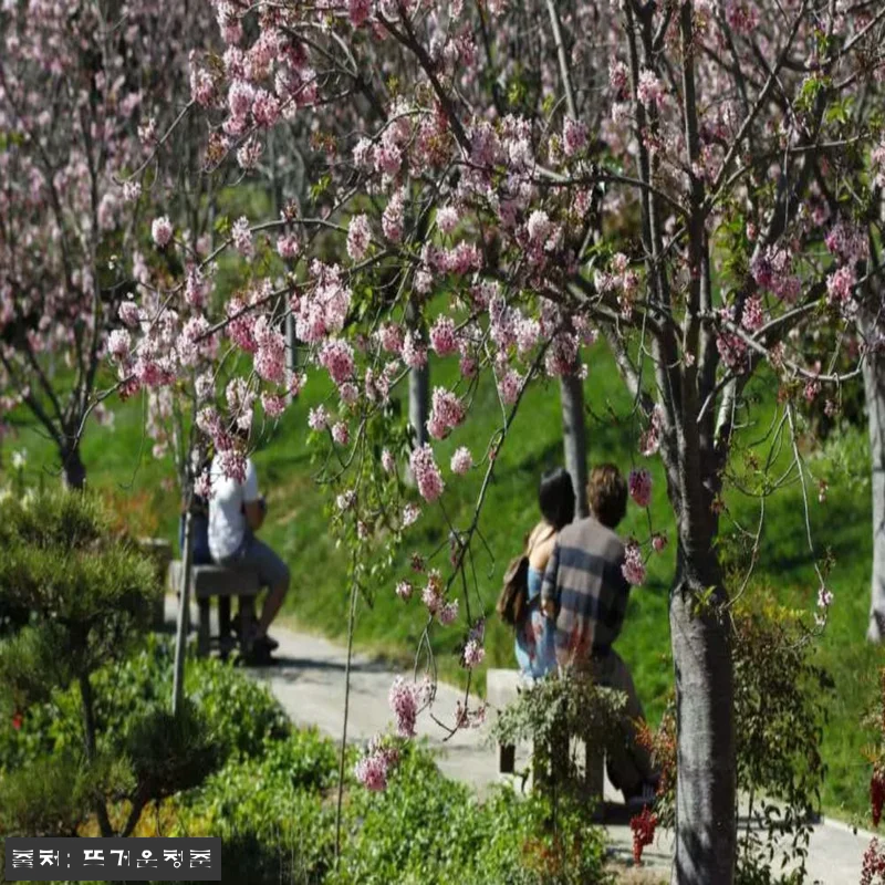 샌디에이고 여행, 올인클루시브 패스 관련 이미지 5