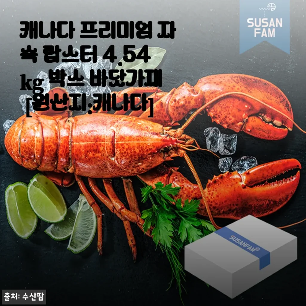 캐나다 프리미엄 자숙 랍스터 4.54kg 박스 바닷가재 [원산지:캐나다]