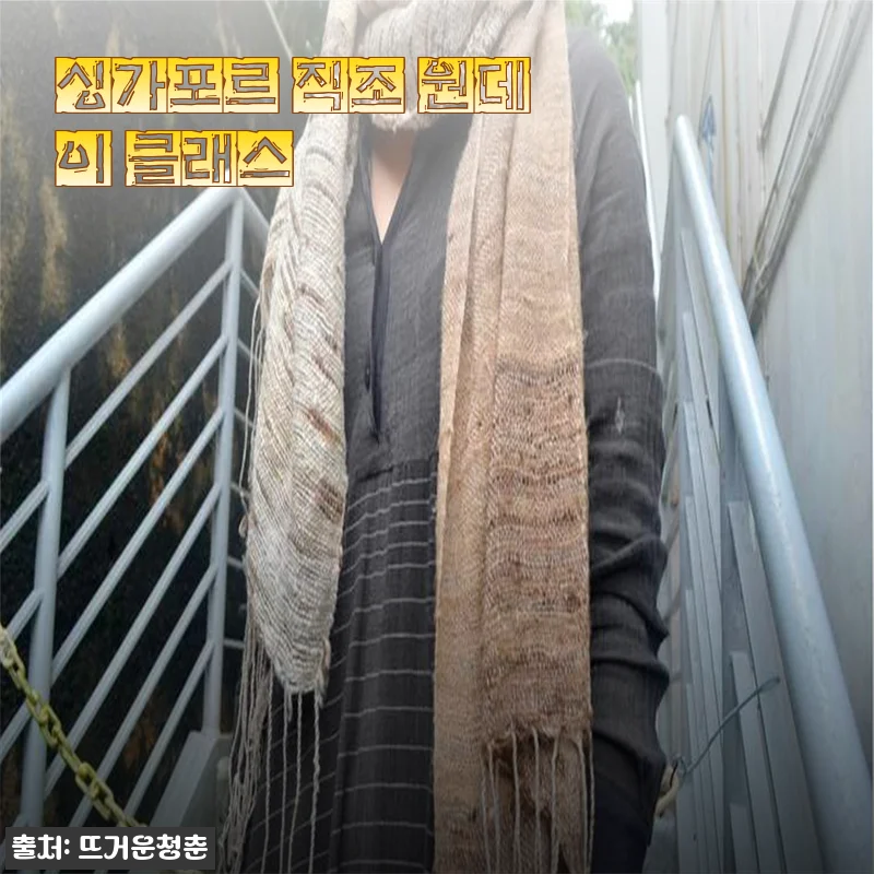 싱가포르 직조 원데이 클래스, 직접 다녀온 솔직한 이야기