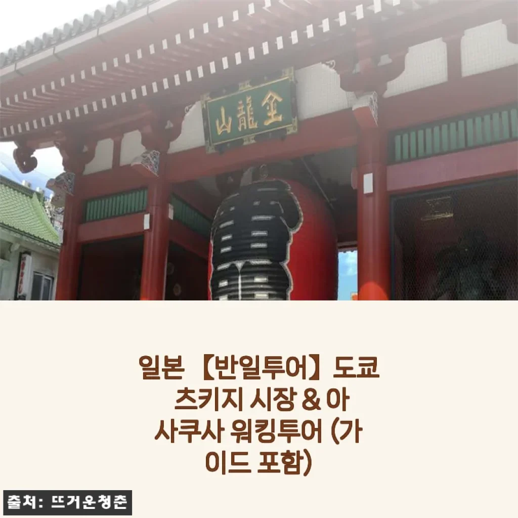 도쿄 반일투어 츠키지 시장 & 아사쿠사 워킹투어 내돈내산 후기