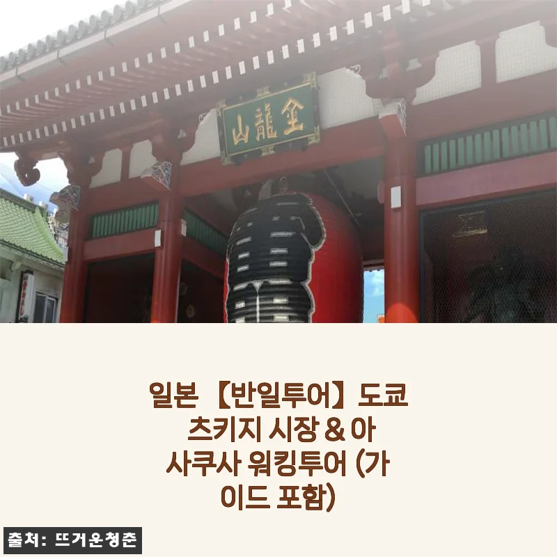 도쿄 반일투어 츠키지 시장 & 아사쿠사 워킹투어 내돈내산 후기