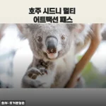 호주 시드니 멀티 어트랙션 패스 솔직 후기, 알뜰 여행 이렇게 준비하세요