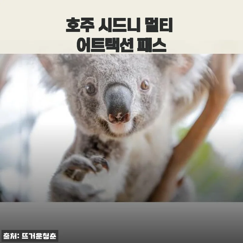 호주 시드니 멀티 어트랙션 패스 솔직 후기, 알뜰 여행 이렇게 준비하세요