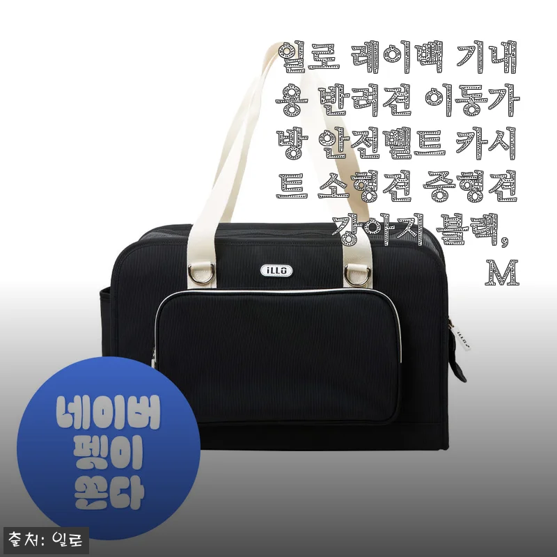 일로 레이백 강아지 이동가방 3달 써보니, 차타는 반려견 필수템 된 이유