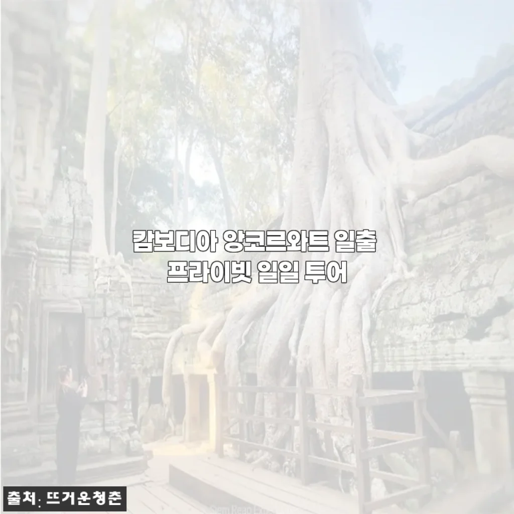 캄보디아 앙코르와트 일출 프라이빗 투어, 혼자서도 완벽했던 하루 후기