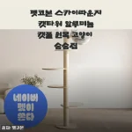 원목 감성에 튼튼함까지, 펫코본 스카이라운지 캣타워 3주 사용기