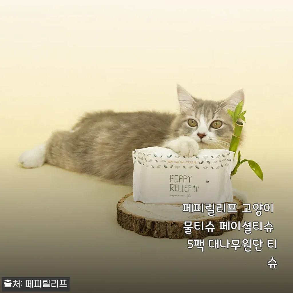 페피릴리프 고양이 물티슈 5팩 대나무원단, 예민한 냥이와 집사의 솔직 사용기