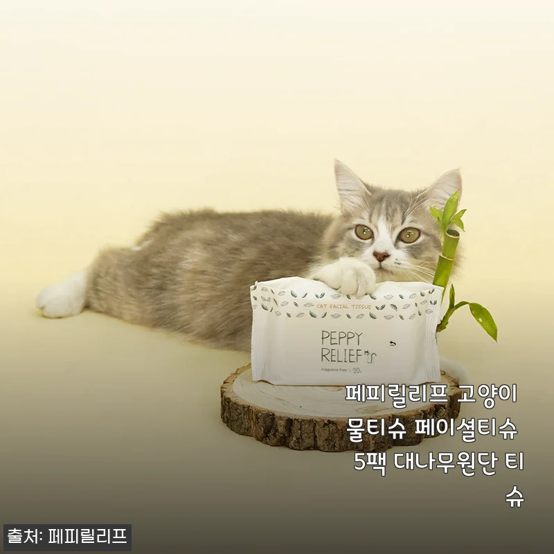 페피릴리프 고양이 물티슈 5팩 대나무원단, 예민한 냥이와 집사의 솔직 사용기
