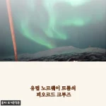 노르웨이 트롬쇠 피오르드 크루즈, 꿈꾸던 북유럽 여행을 현실로 만들어준 3시간의 기록