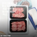 5월 가정의달 한우선물세트 내돈으로 사서 먹어본 꽃등심 살치 안심 솔직 후기