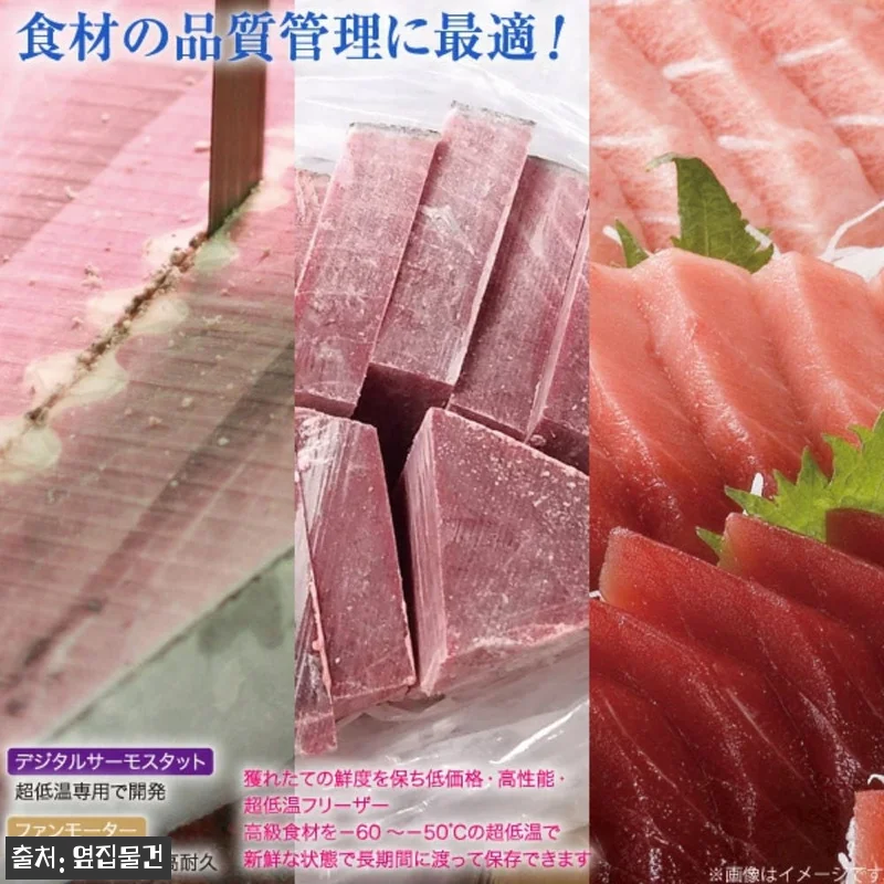 일본 Kanou 업소용 참치 냉동고 OF-140, 초저온 보관용으로 눈여겨볼 만한 이유 5 일본 Kanou 업소용 참치 냉동고 관련 이미지 1