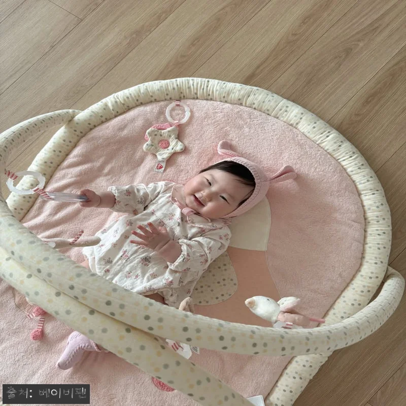 독일 프리미엄 베이비펜 버드 아기 체 관련 이미지 3