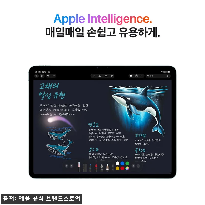 애플 아이패드 에어 13 M4 셀룰러 관련 이미지 4